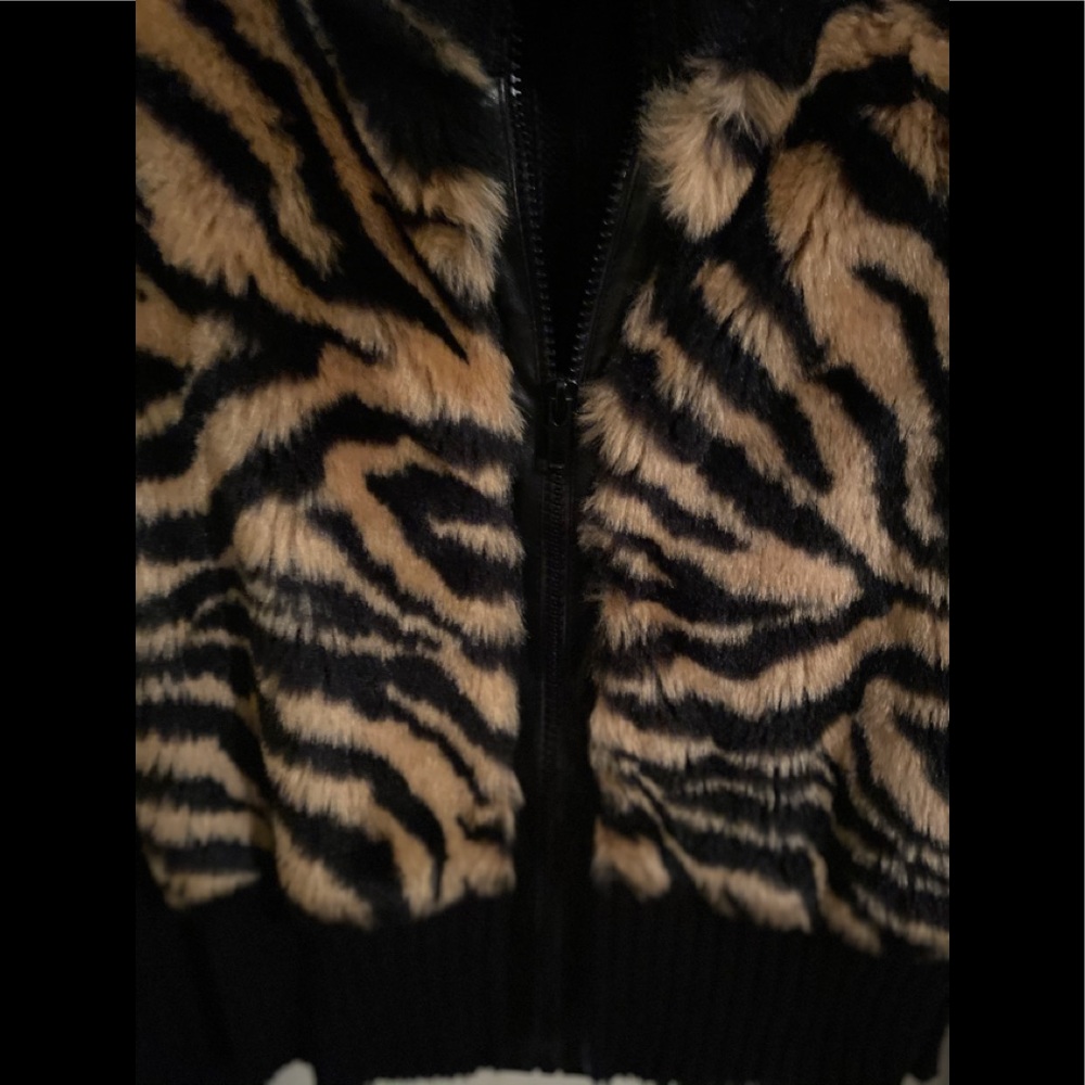 Jacket - Picture 2 of 5